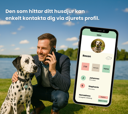 ID-Bricka för Katter | Hebbe-taggen | Mintgrön