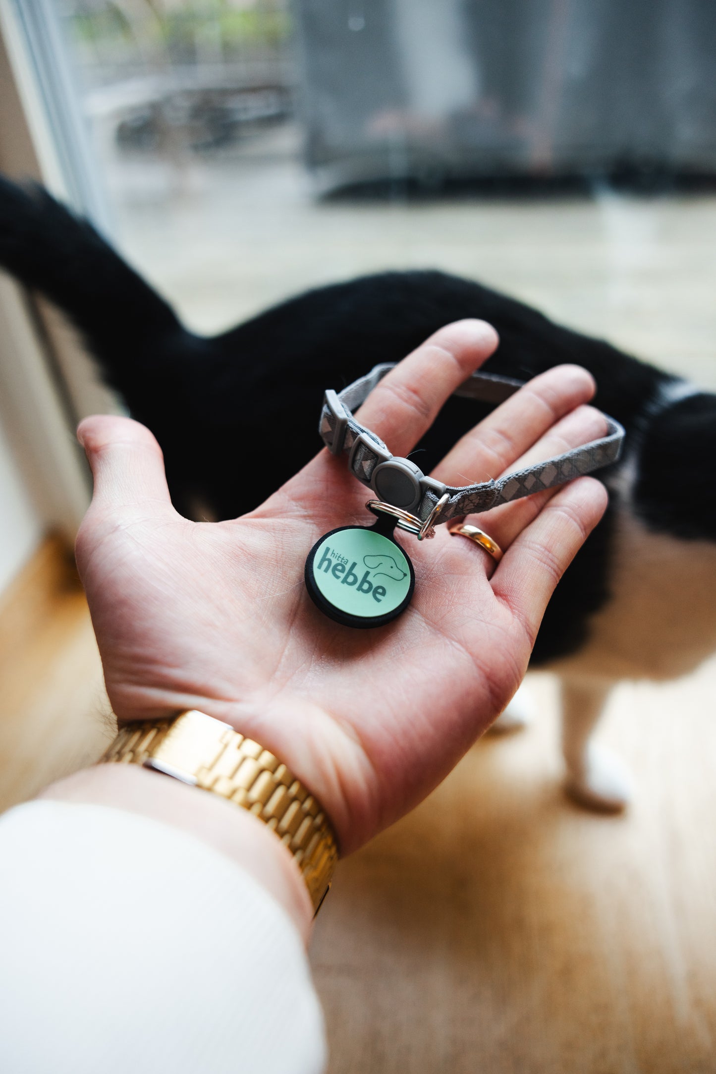 ID-Bricka för Katter | Hebbe-taggen | Mintgrön